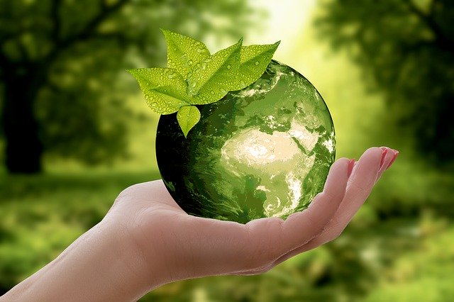 3 duurzaamheidstips voor een beter milieu
